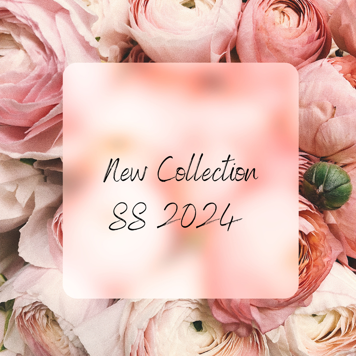 New Collection S/S 2024